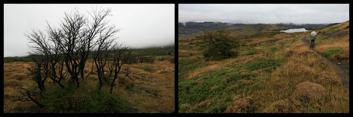 Nous entamons notre deuxième jour sous la brume avec quelques affaires humides suite à une nuit sous la pluie. Par chance le ciel se dégage au fur et à mesure de notre avancée pour mieux admirer le panorama sur la lagune Nordernskjöld. Cette eau de glacier est d’une couleur pure et forme un miroir parfait car il n’y a pas un brin de vent sur cette partie. @Photo01 Le début du parcours est encore abimé par les traces de l’incendie de 2011 qui a détruit une grande partie du parc. @Photo02 La vue sur le massif de « Los Cuernos » et le glacier « del Francés » marque l’entrée dans la vallée « del Francés » et ce sera aussi pour nous le temps de planter la tente au campement Italiano pendant deux nuits. @Photo03 Ce glacier perd des blocs de glace reproduisant le bruit du tonnerre qui résonne dans toute la vallée… @Photo04 Cette vallée est entourée d’immenses massifs et glaciers qui nous laisse sans voix. Les torrents jaillissent de toutes parts, il suffit de se servir lors d’une petite soif ! @Photo05 Le mirador Britanico se trouve perdu au fond de la vallée, avec une vue magnifique sur plusieurs massifs : Los Cuernos, Cerro Fortalez, Cerro Escudo, la Cordillera Paine… @Photo06 Vue depuis le mirador sur Los Cuernos. @Photo07 Vue vers le glacier « del francés » et vers la lagune Nordernskjöld au loin. @Photo08